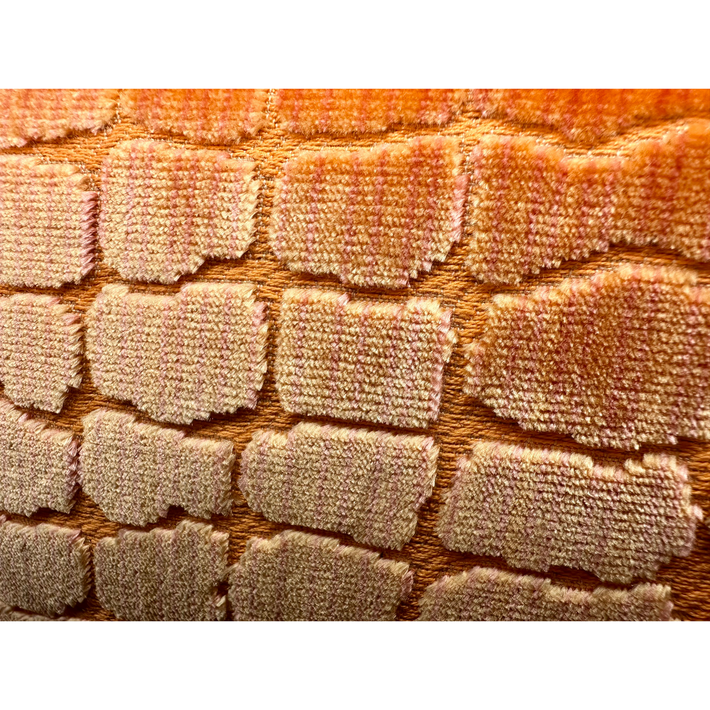 Bianca Crossbody Coral Croc